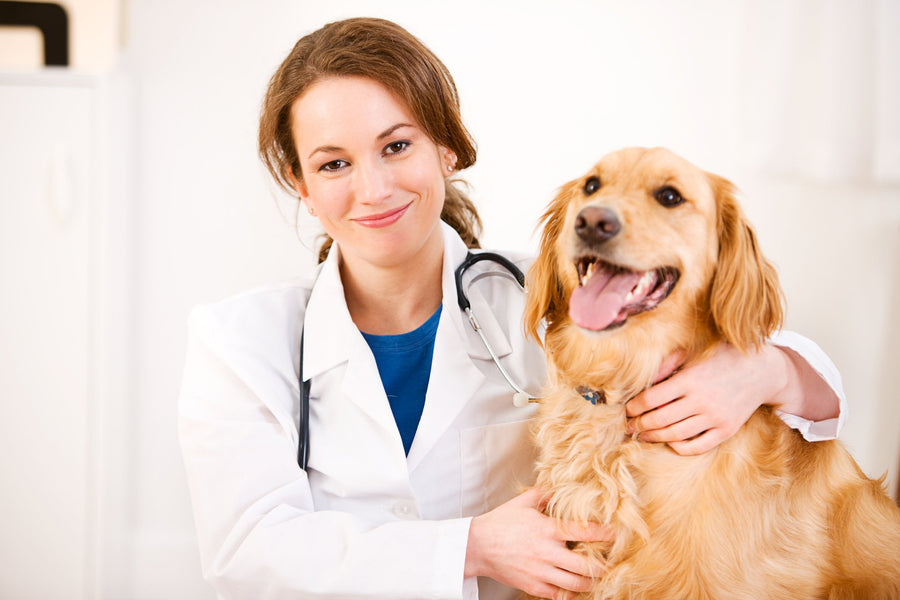 11 Personalized Gifts for Veterinarians in 2025